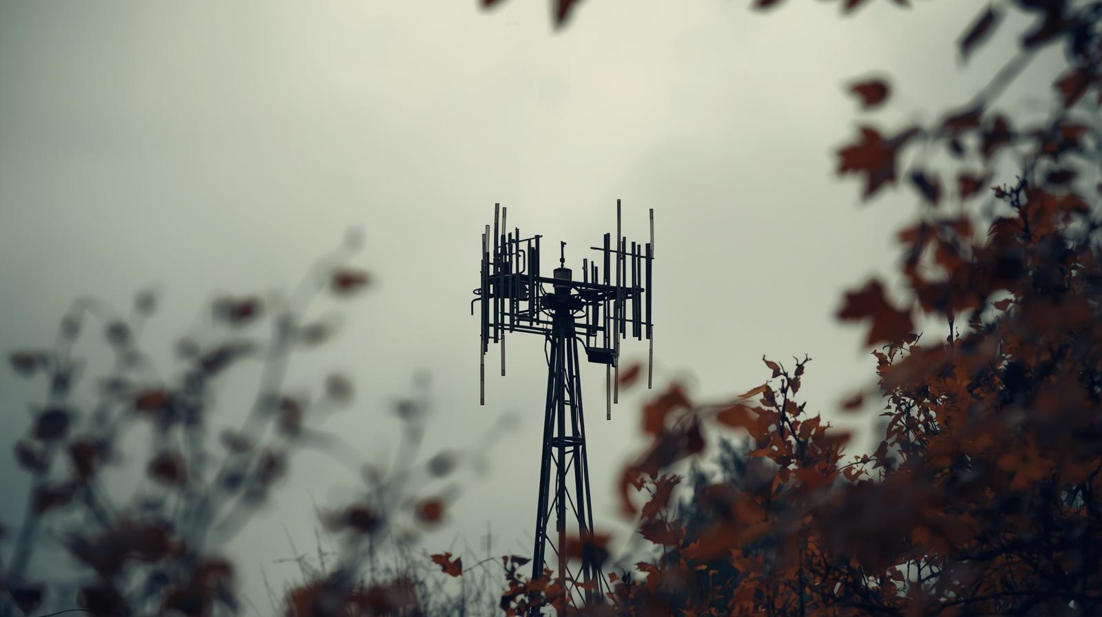 Autumn Weather Impact on TV Antenna