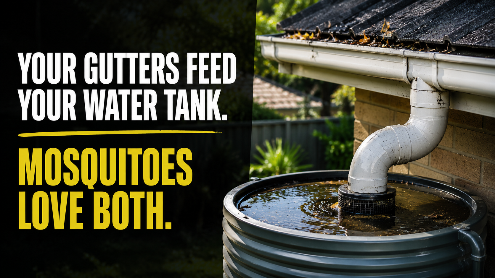 Understanding how mosquitoes enter rainwater systems.
