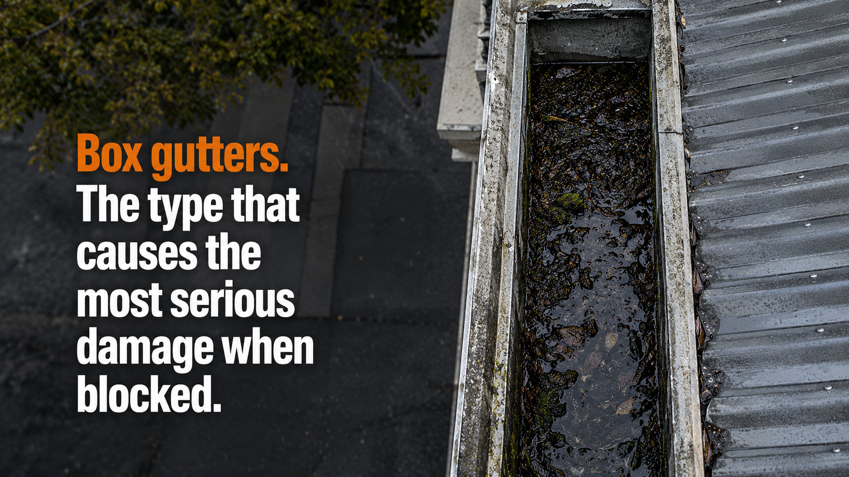 Box gutters are common in Australian homes - and far more dangerous when blocked than standard gutters. Here's what you need to know before they cause serious damage.