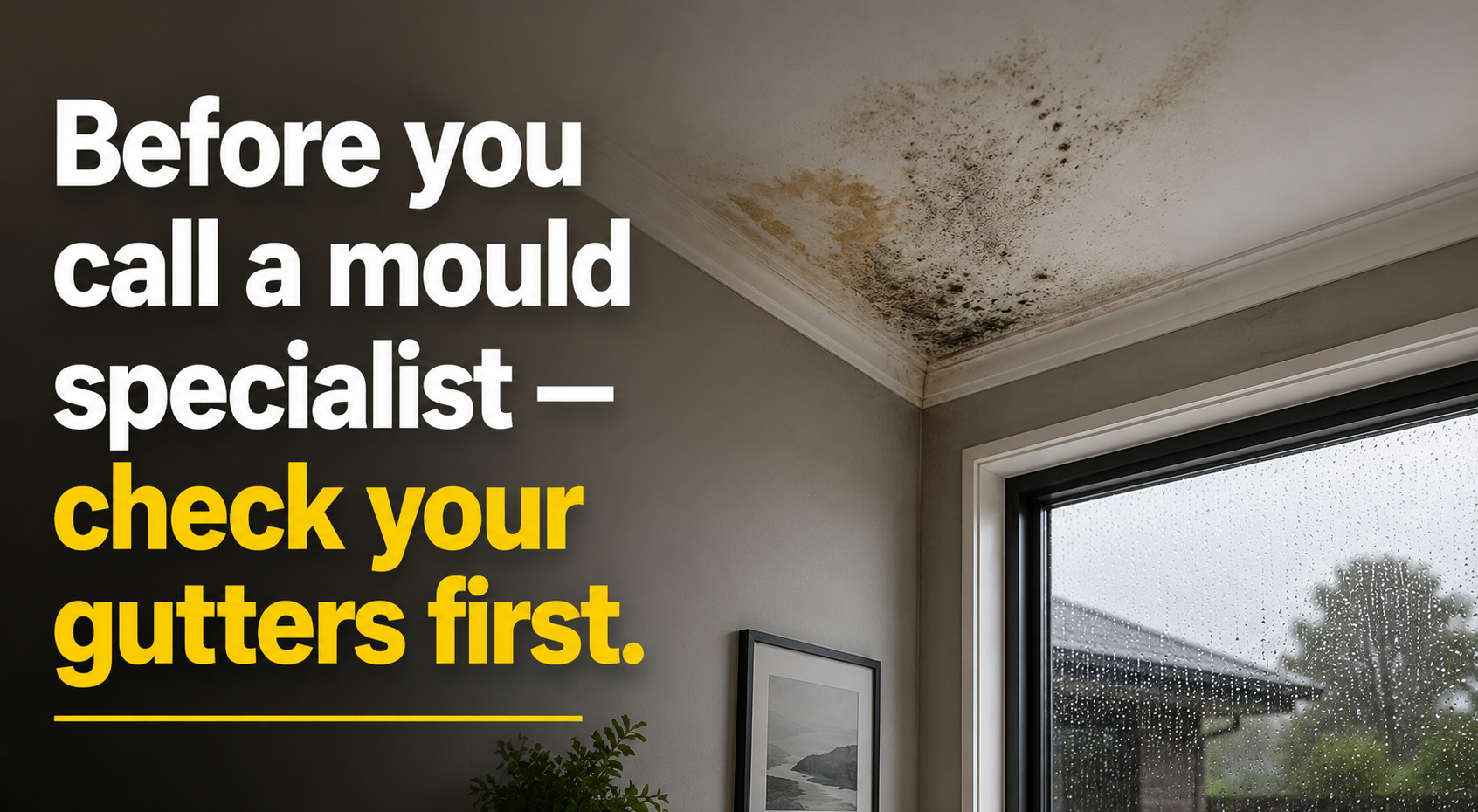 how to find cause of ceiling mould australia