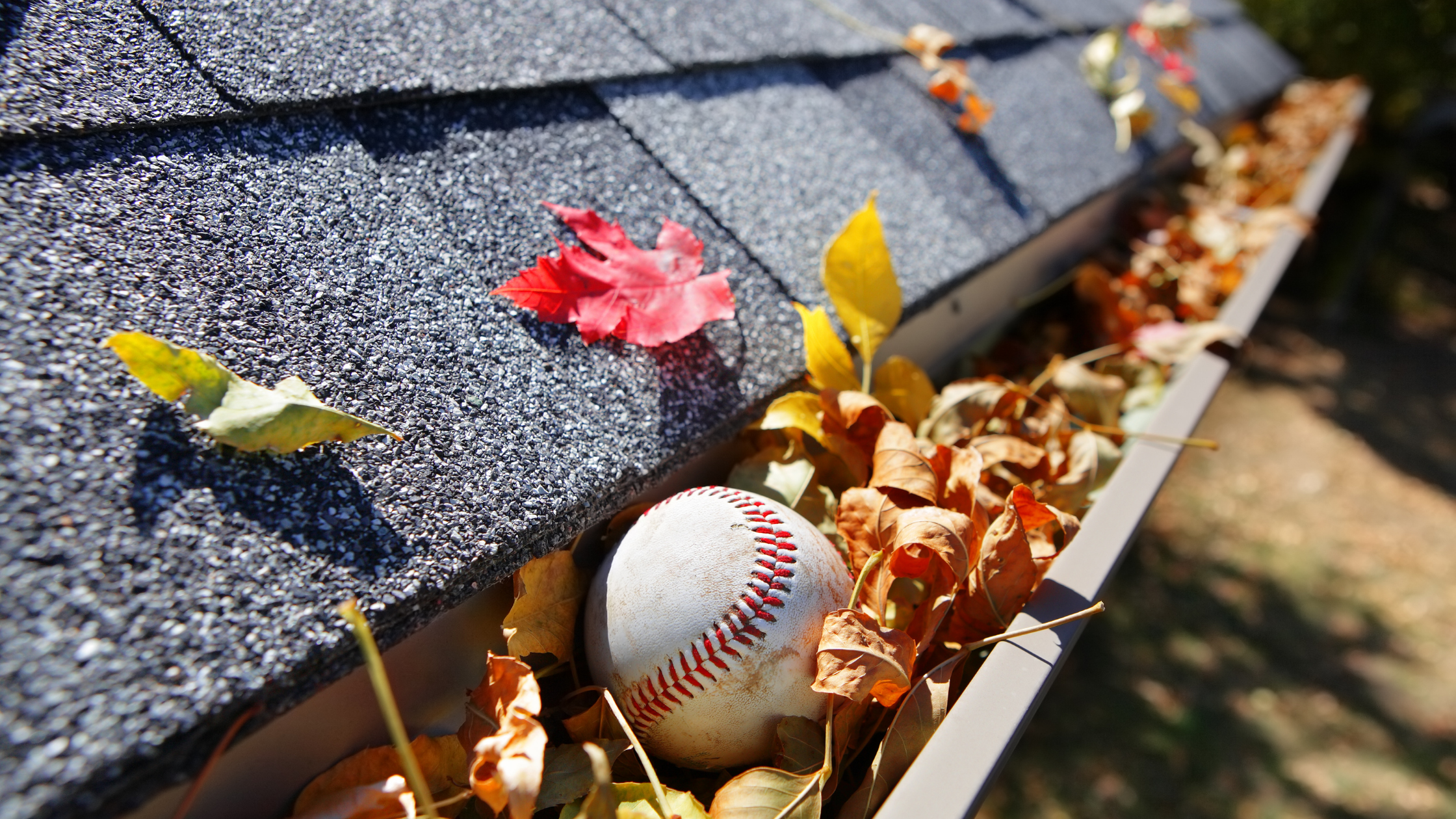 Clogged gutter filled with autumn leaves and a baseball, showing how debris buildup affects home maintenance and resale value in suburbs like Essendon and Narre Warren.