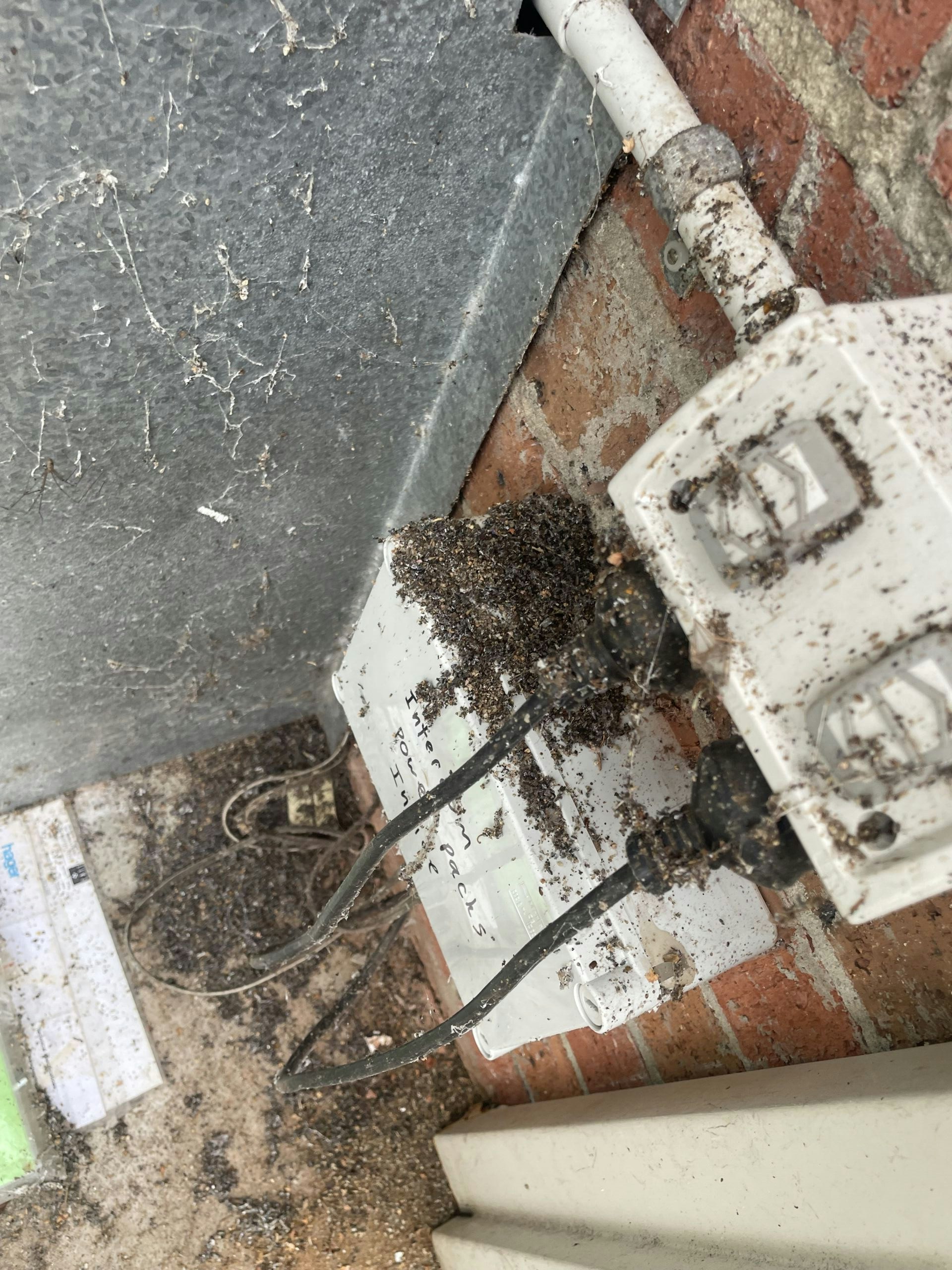 Battling Ants in Your Electrical System