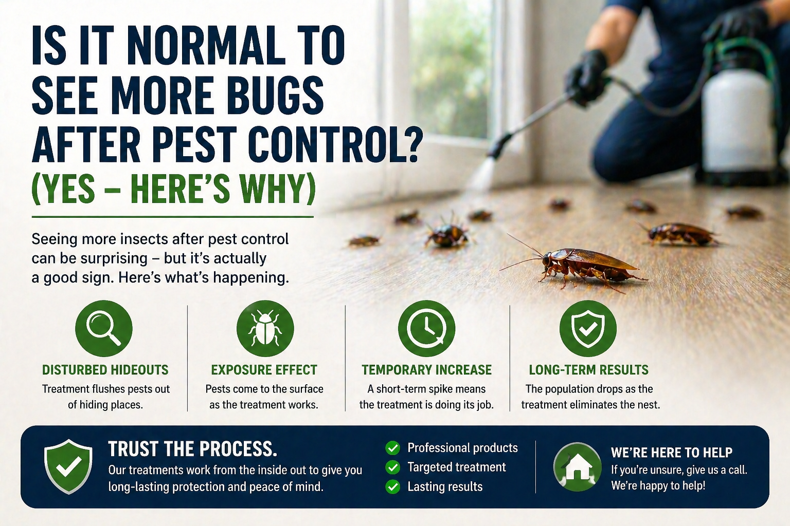 Understanding pest control treatments effectively