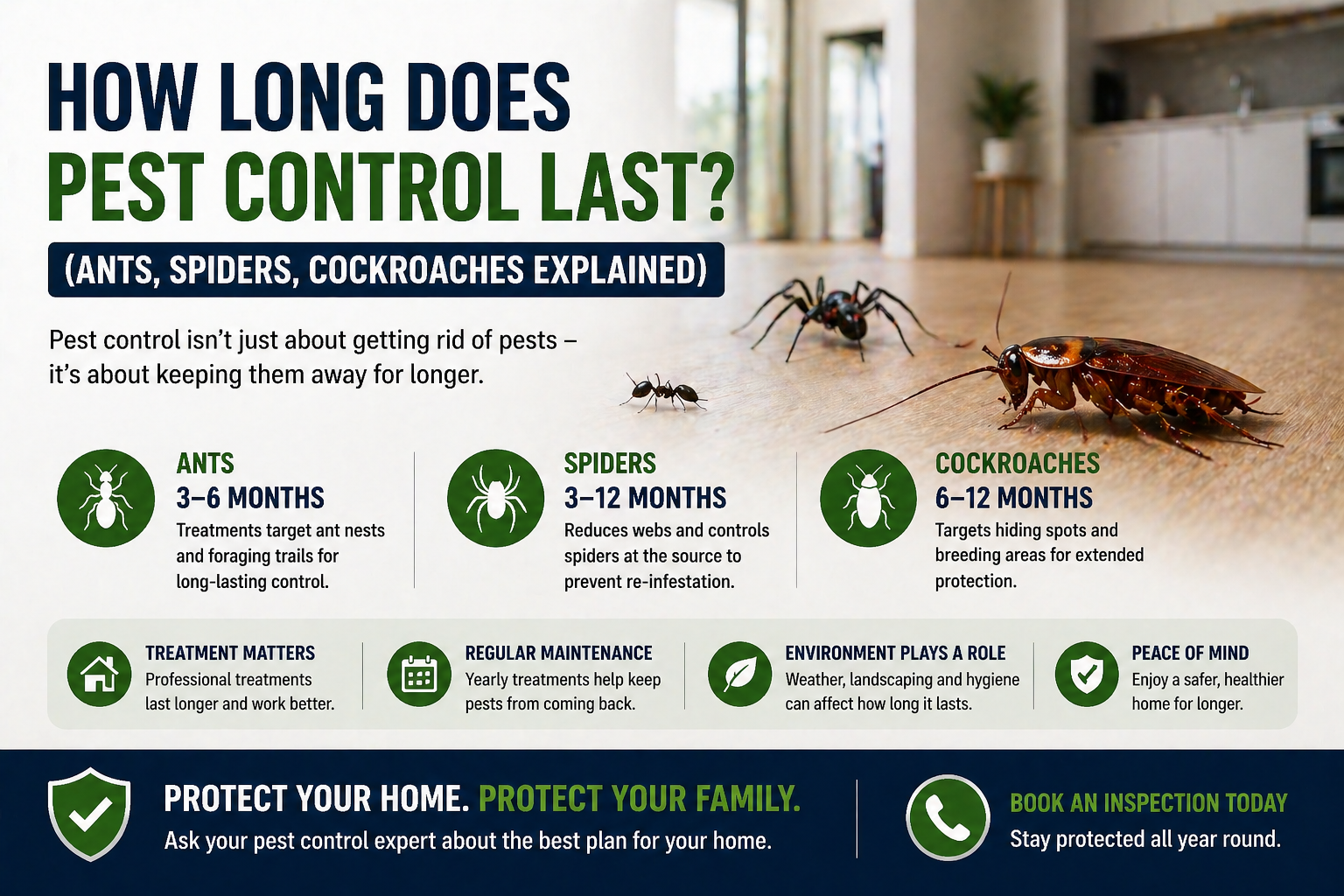 Pest control solutions for your home