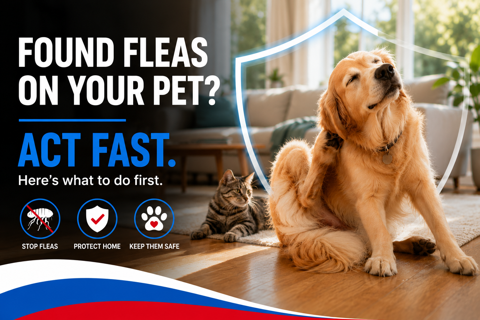 Dog and cat inside a modern home highlighting the risk of fleas being carried indoors by pets.