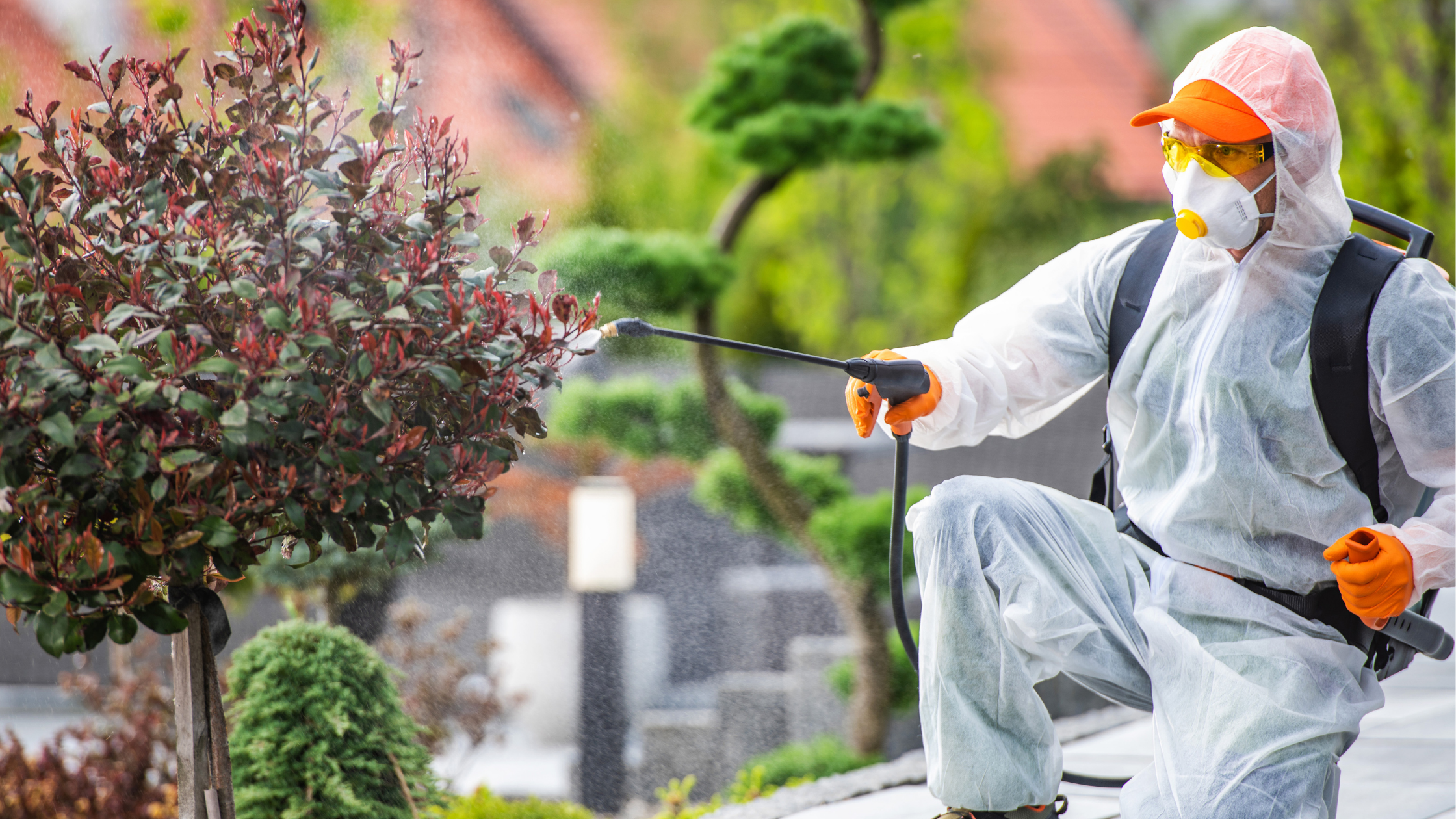 Professional pest controller in protective gear spraying eco-friendly pest solution on garden plants to ensure safe and effective home pest control.