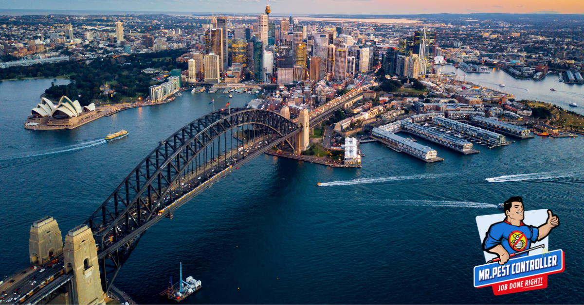 spring pest prevention