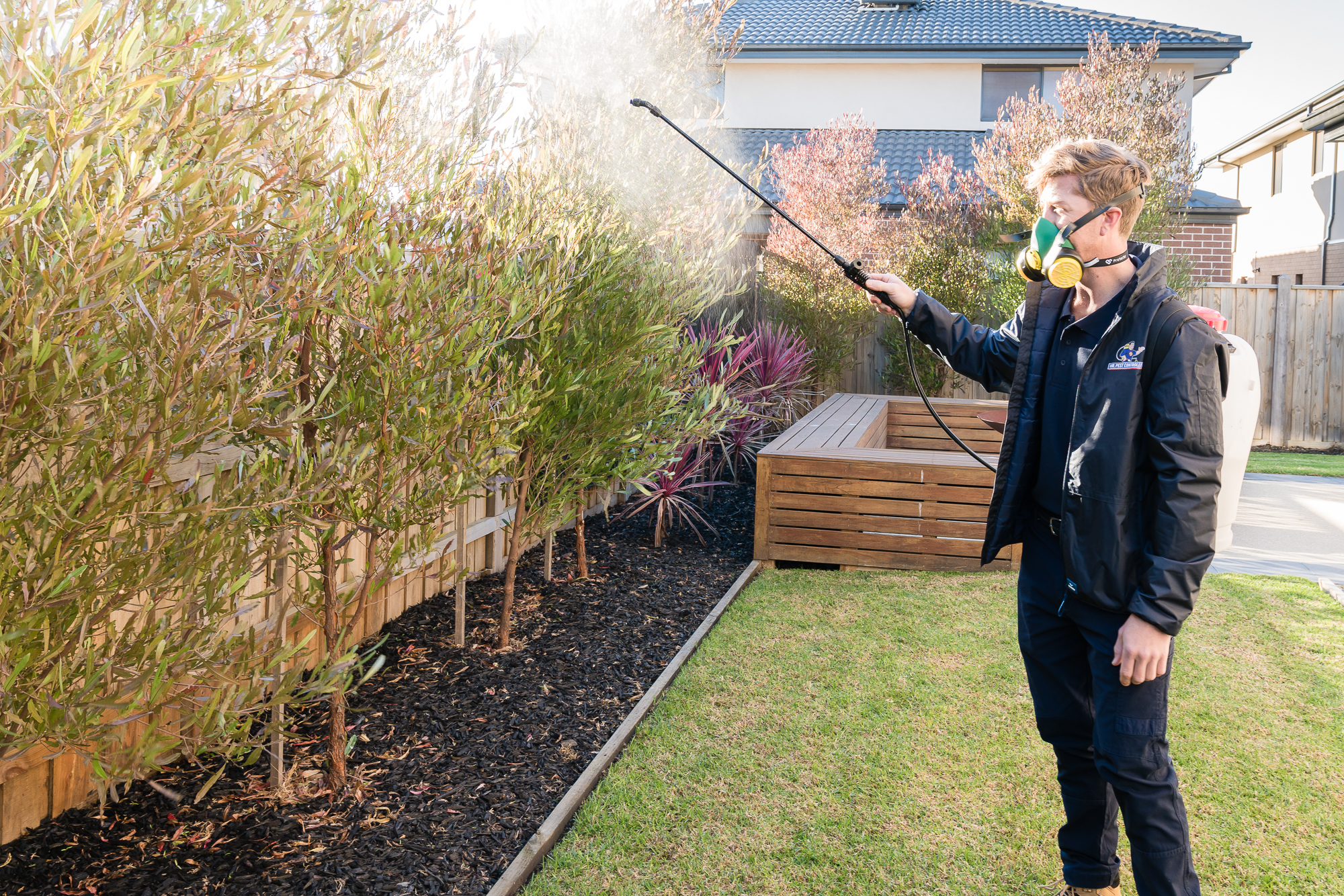 Technician performing residential pest control service in an Australian backyard